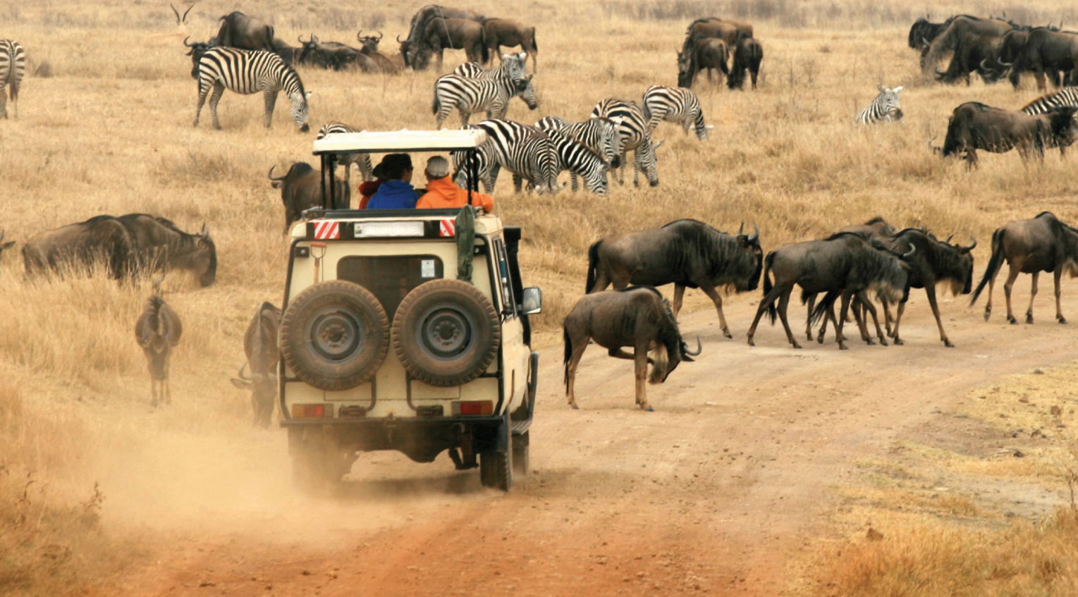 2026/8/4 草原之舞-肯亞動物大遷徙10日