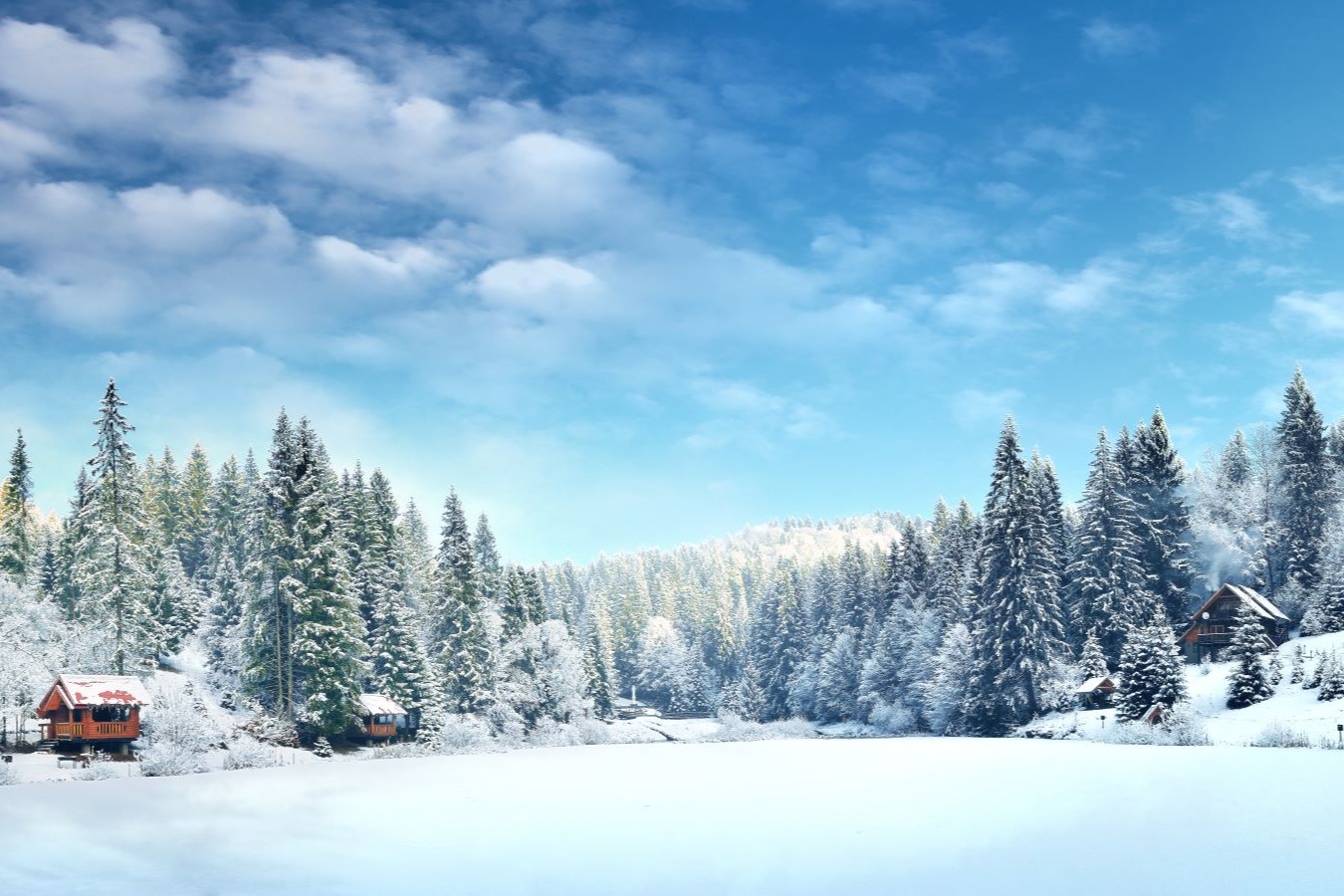輕井澤滑雪川越東京7日
