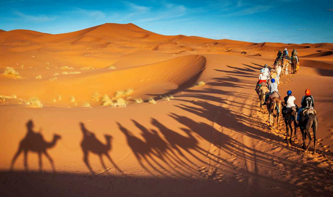 駱駝騎乘體驗 | 風中的撒哈拉歲月