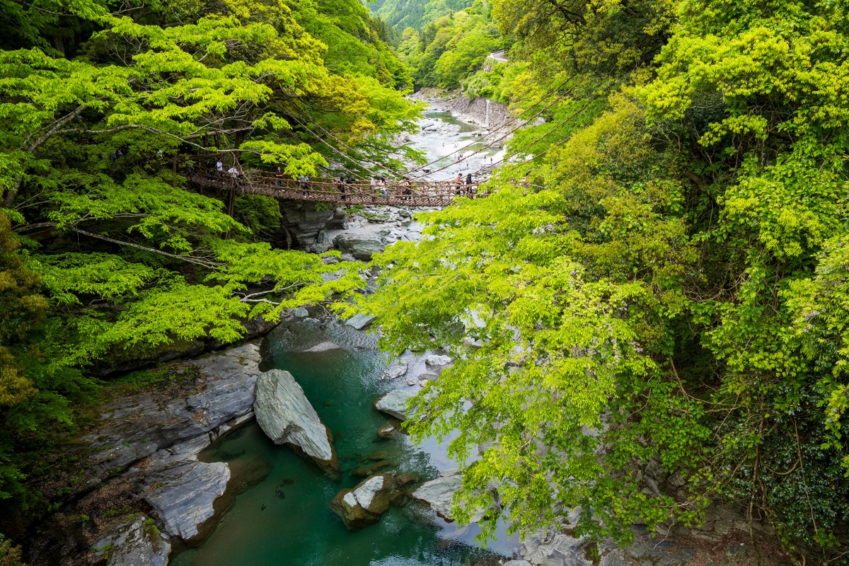 祖谷溪葛藤橋