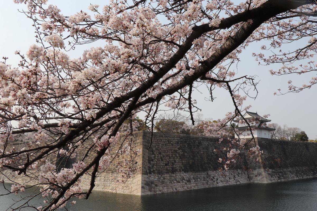 大阪城公園