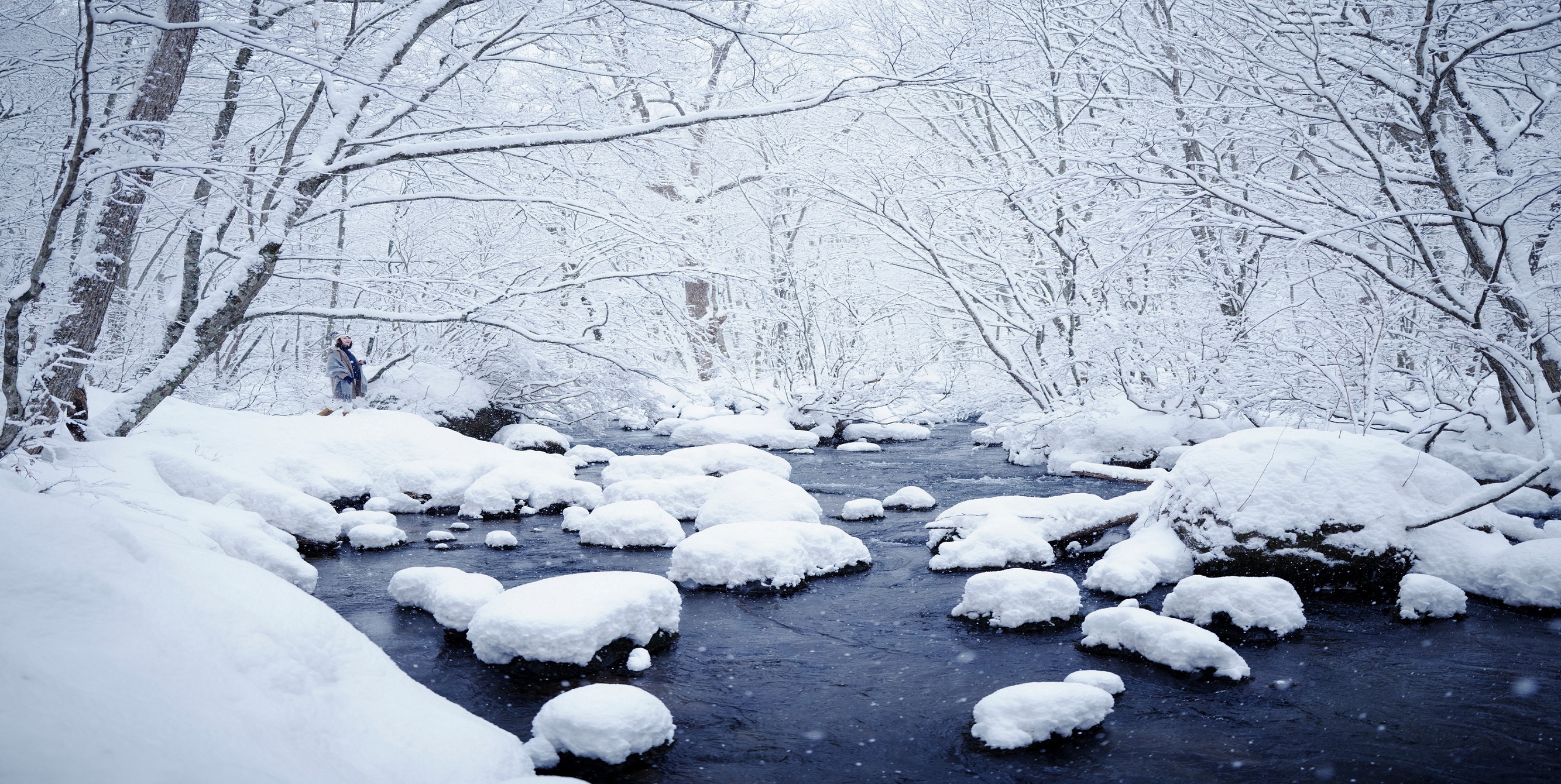 雪漫大地，暢遊冰與雪的世界