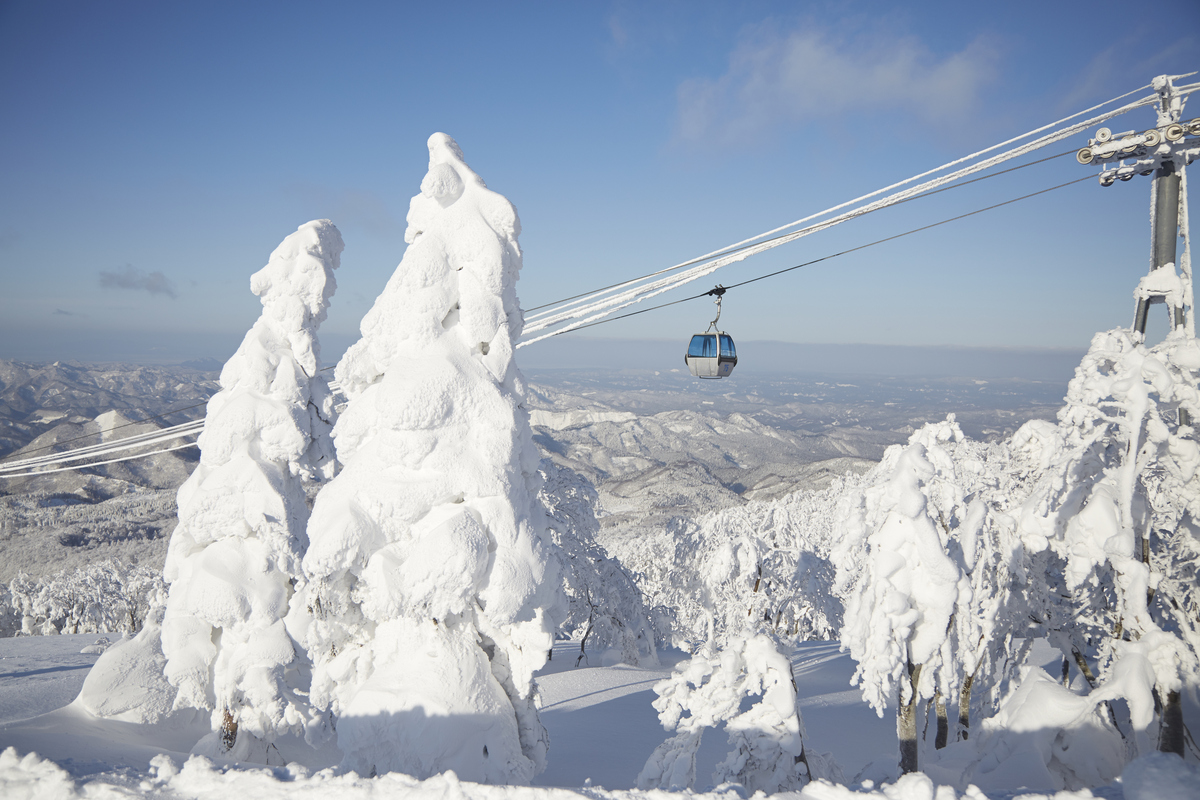 大自然創造的絕美藝術品