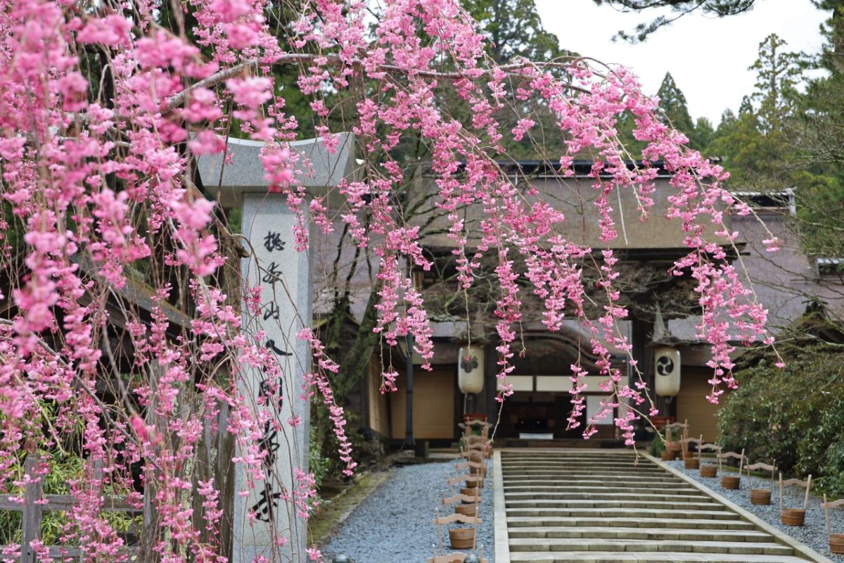 金剛峯寺