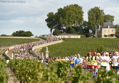 葡萄酒饗宴 | 迎接升等美食
