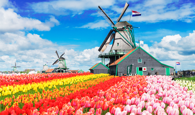 最美時節、賞得時令一片花彩