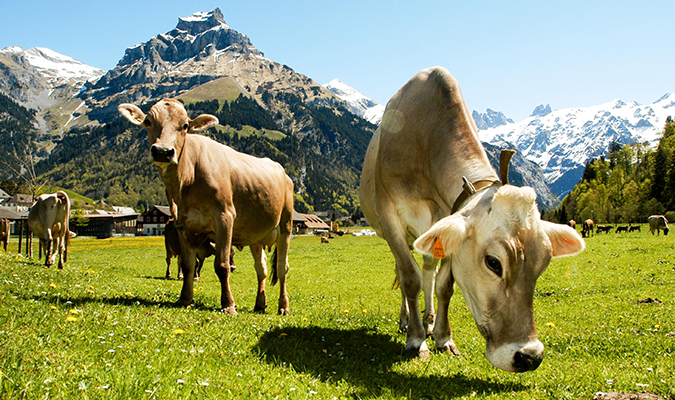 隨性健行、自在體驗山林、自由逛街