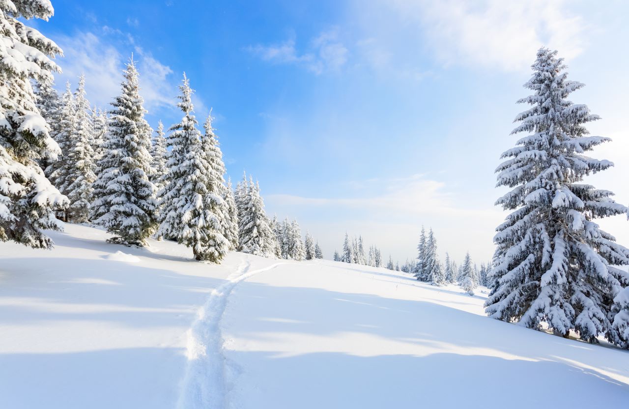 北海道NISEKO滑雪7日六人成行