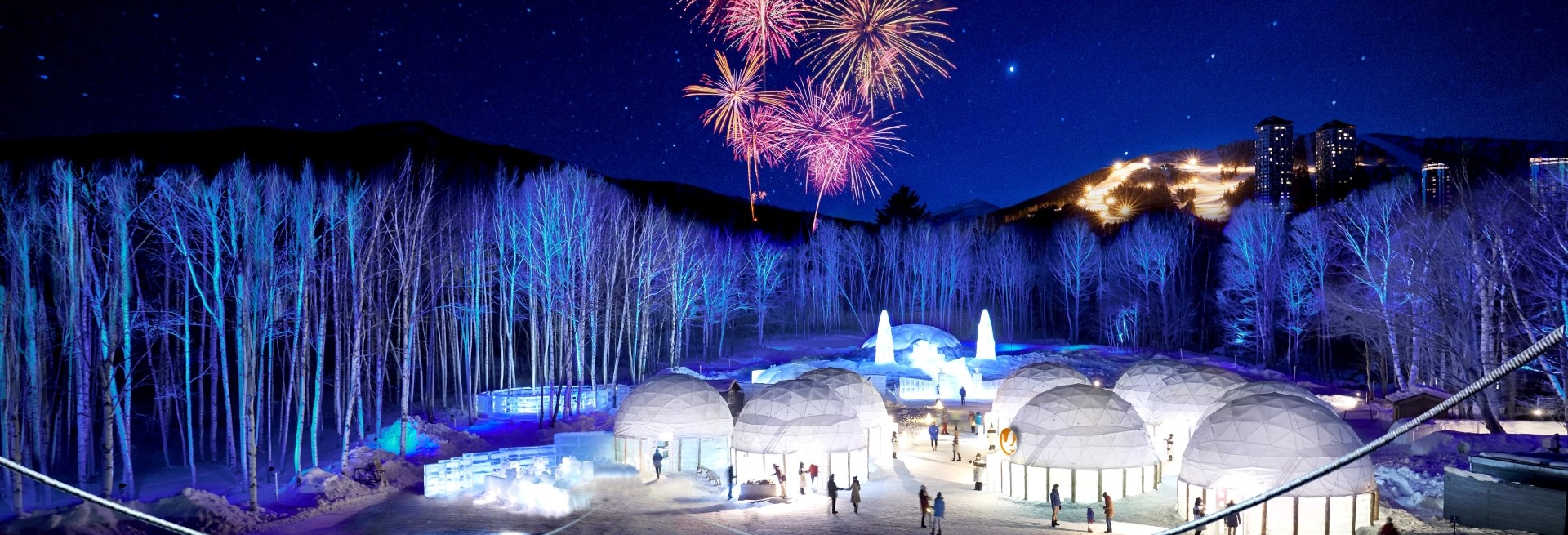 星野TOMAMU兩人成行