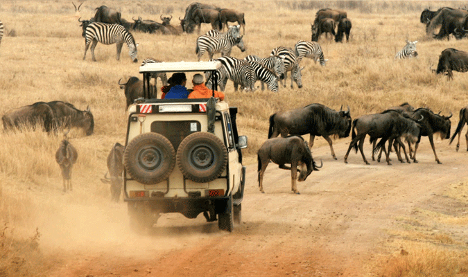 特別安排 ★ 越野車遊獵 4人一車 